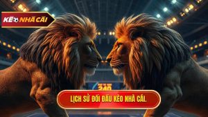 Lịch Sử Đối Đầu 2 Đội: Chìa Khóa Vàng Trong Soi Kèo Bóng Đá