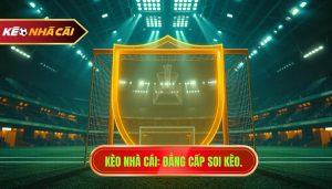 KÈO NHÀ CÁI_ Đẳng cấp soi kèo.
